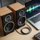 FT-2031 Premium Subwoofer Pair Speakers – High Bass Multimedia USB Speakers